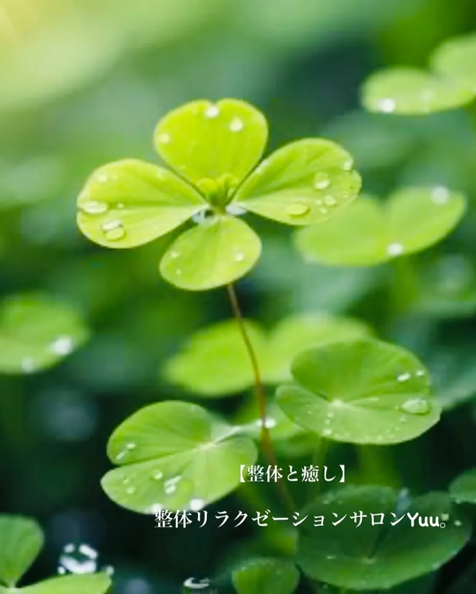 和歌山県岩出市整体リラクゼーションサロンYuu。