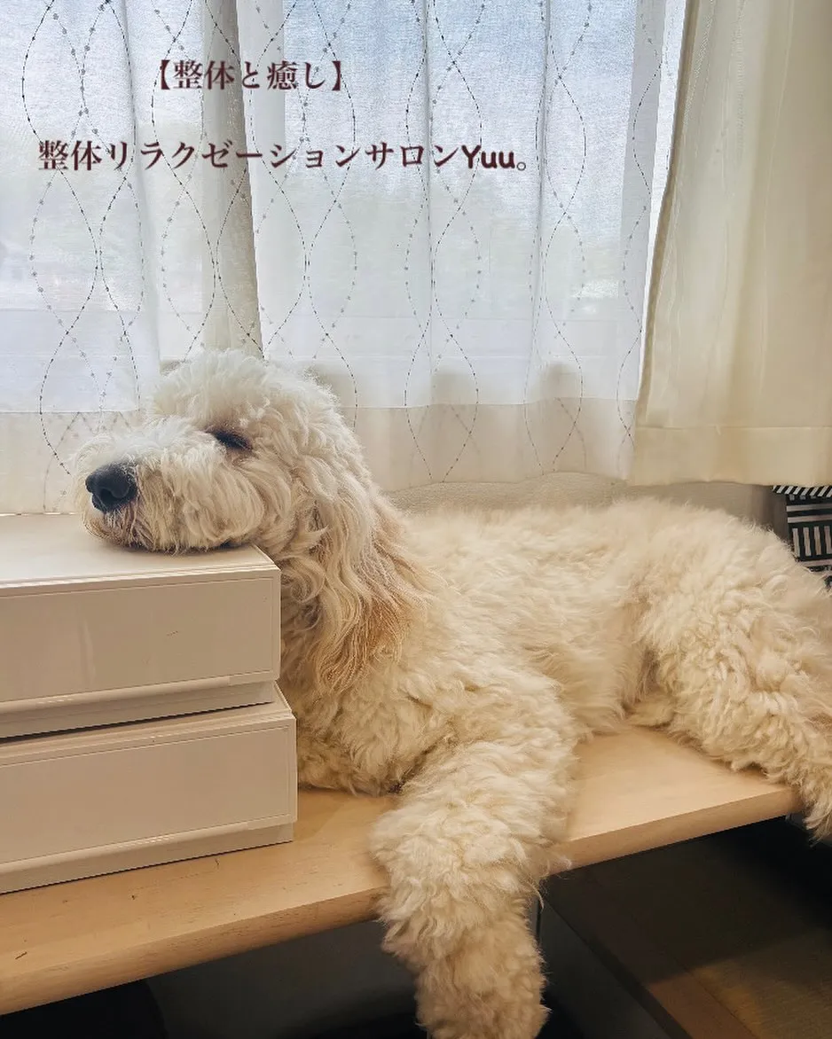 和歌山県岩出市整体リラクゼーションサロンYuu。