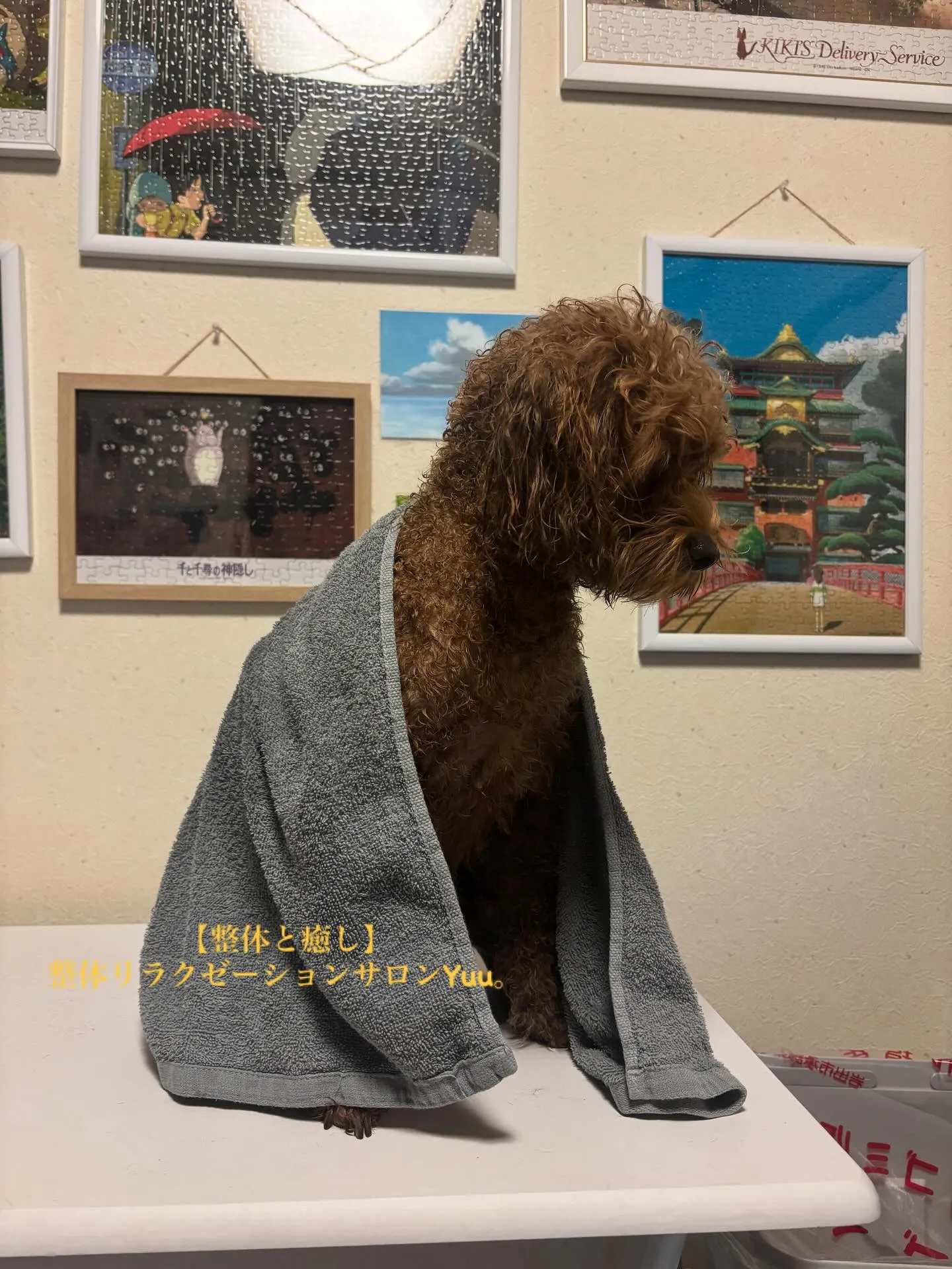 和歌山県岩出市整体リラクゼーションサロンYuu。