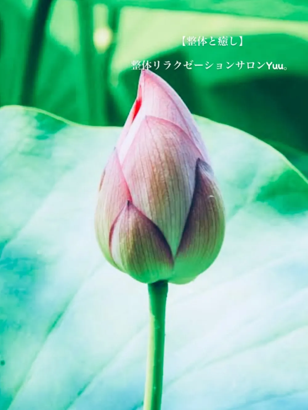 和歌山県岩出市整体リラクゼーションサロンYuu。