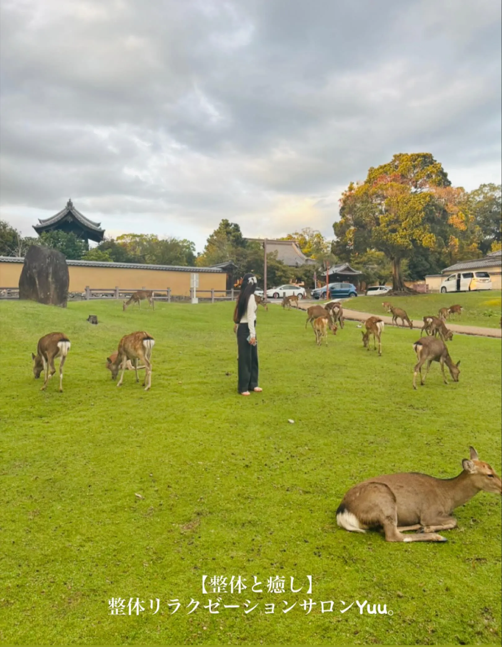 和歌山県岩出市整体リラクゼーションサロンYuu。