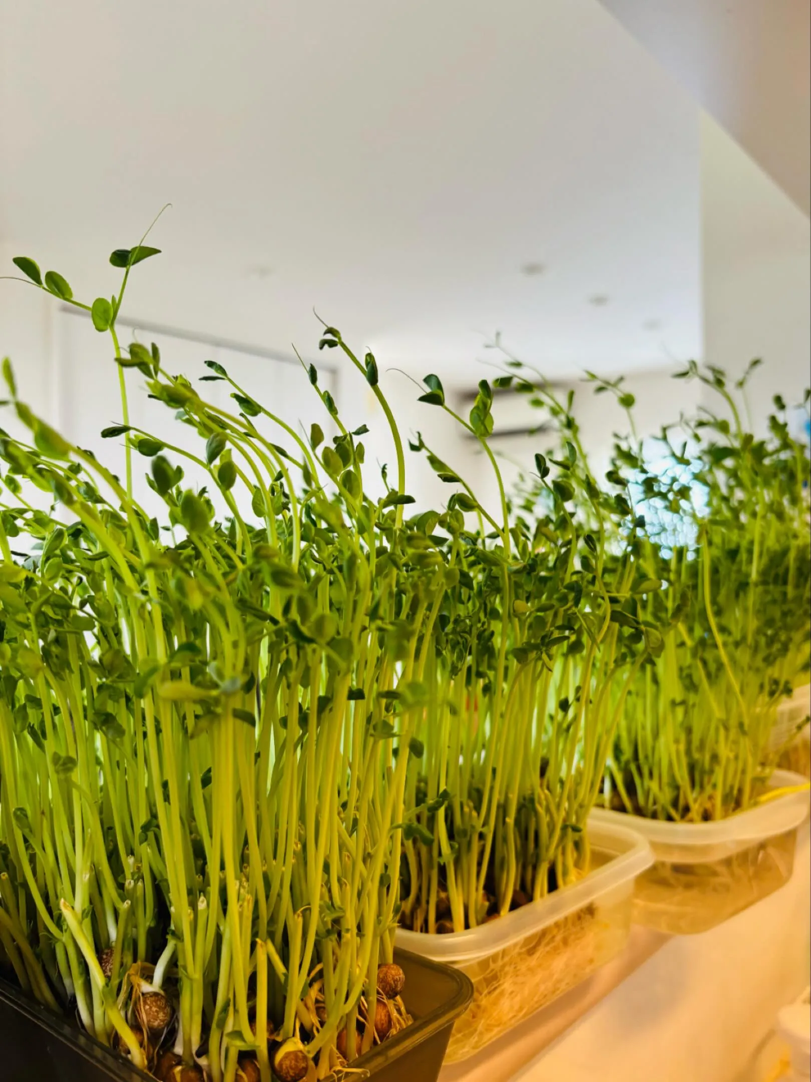 和歌山県岩出市整体リラクゼーションサロンYuu。