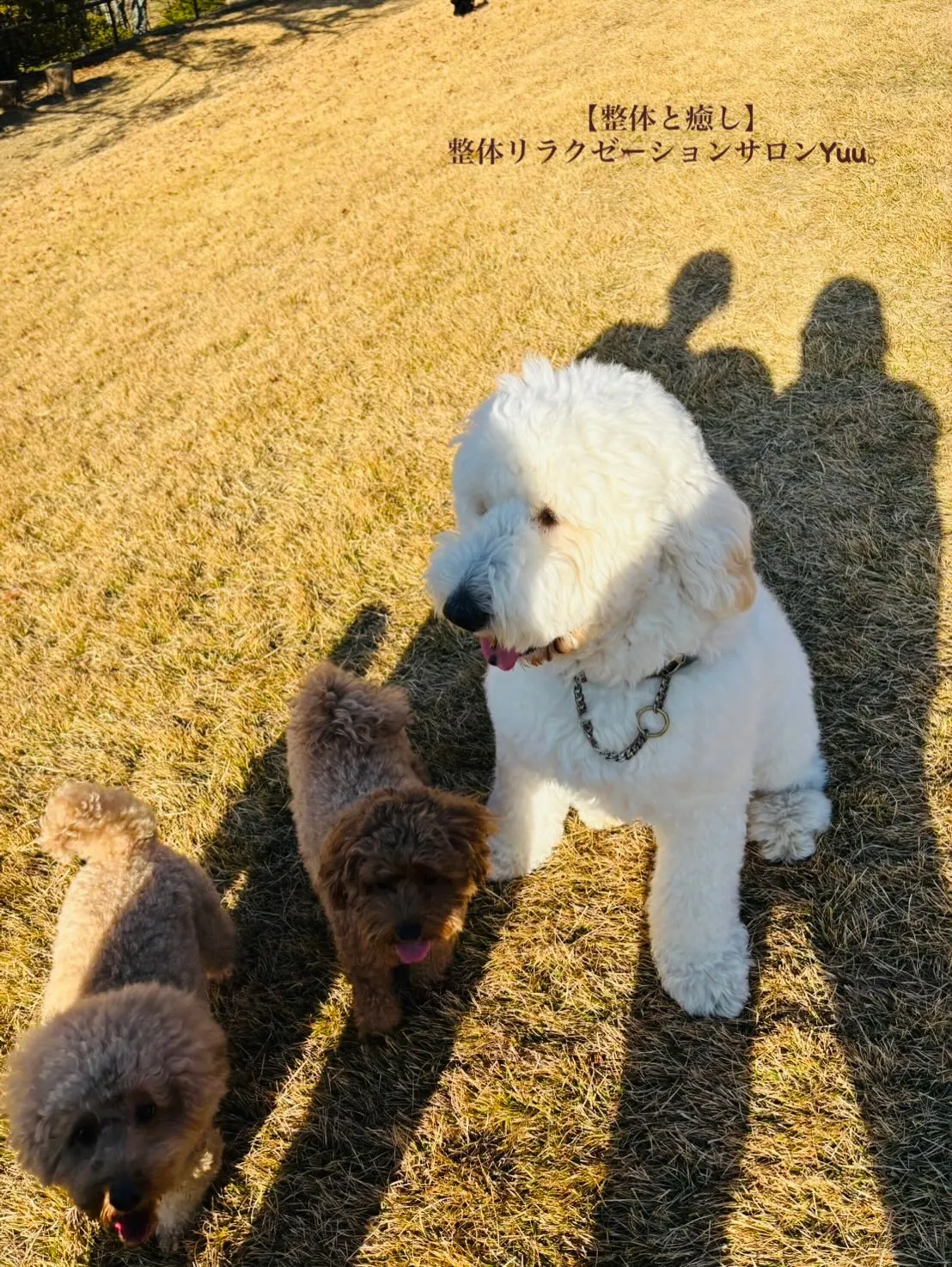 和歌山県岩出市整体リラクゼーションサロンYuu。