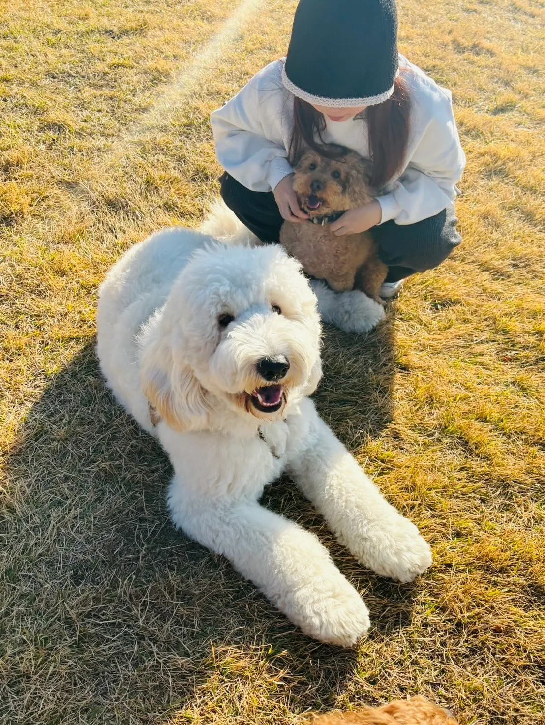 和歌山県岩出市整体リラクゼーションサロンYuu。