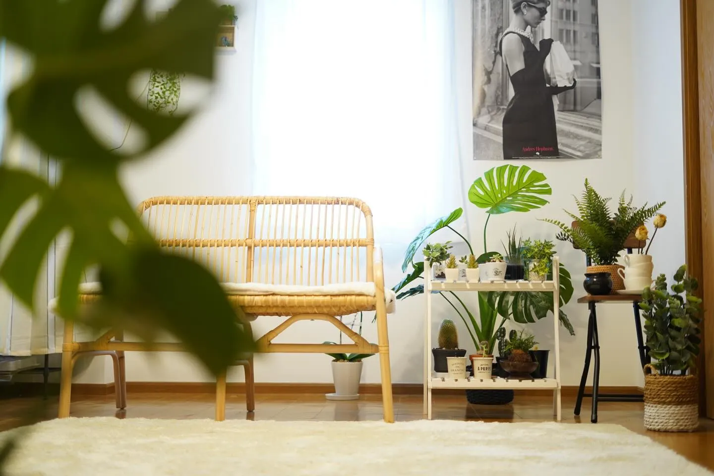 和歌山県岩出市整体リラクゼーションサロンYuu。