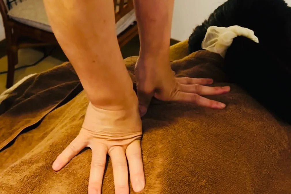 和歌山県岩出市整体リラクゼーションサロンYuu。