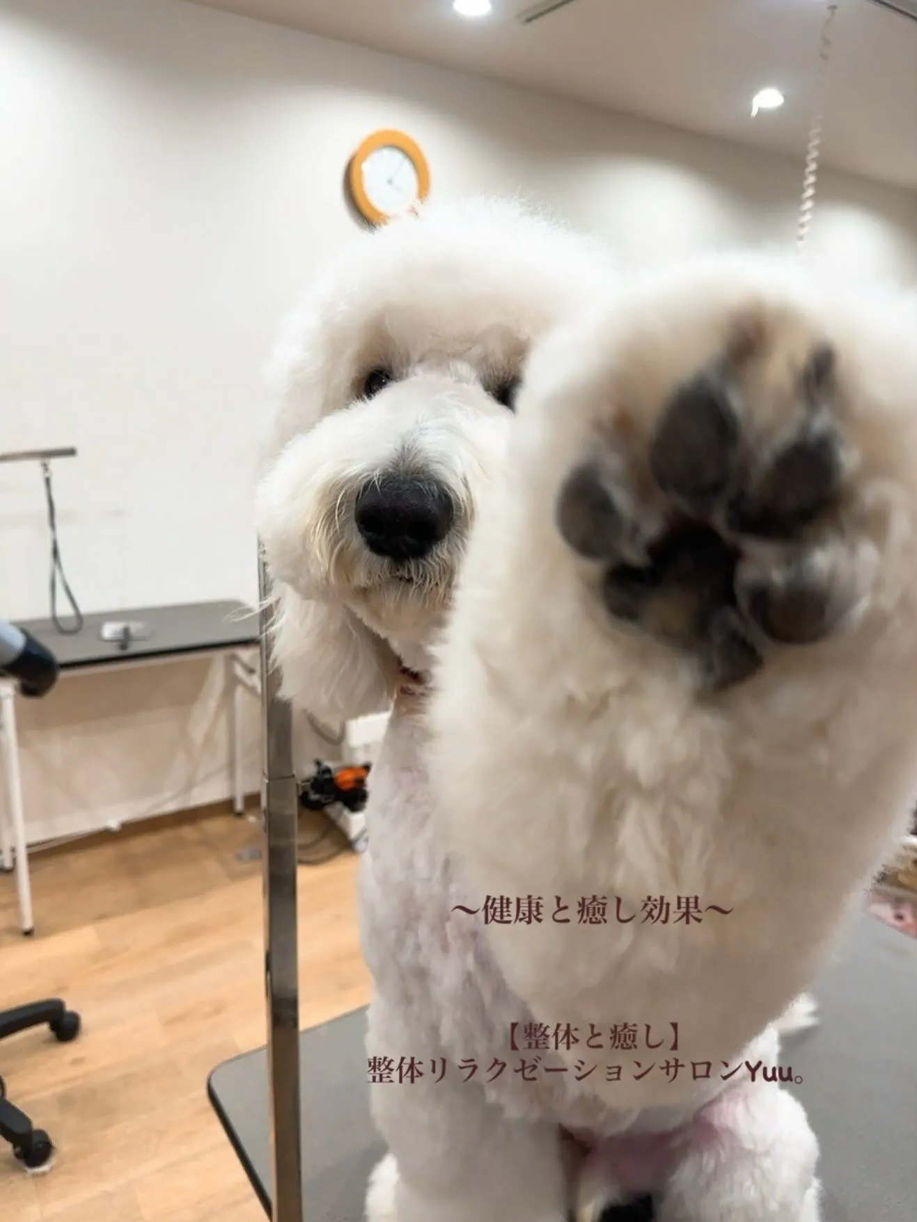 和歌山県岩出市整体リラクゼーションサロンYuu。