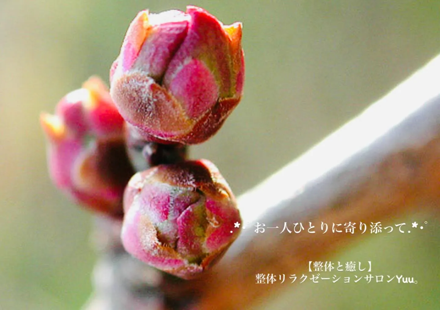 和歌山県岩出市整体リラクゼーションサロンYuu。