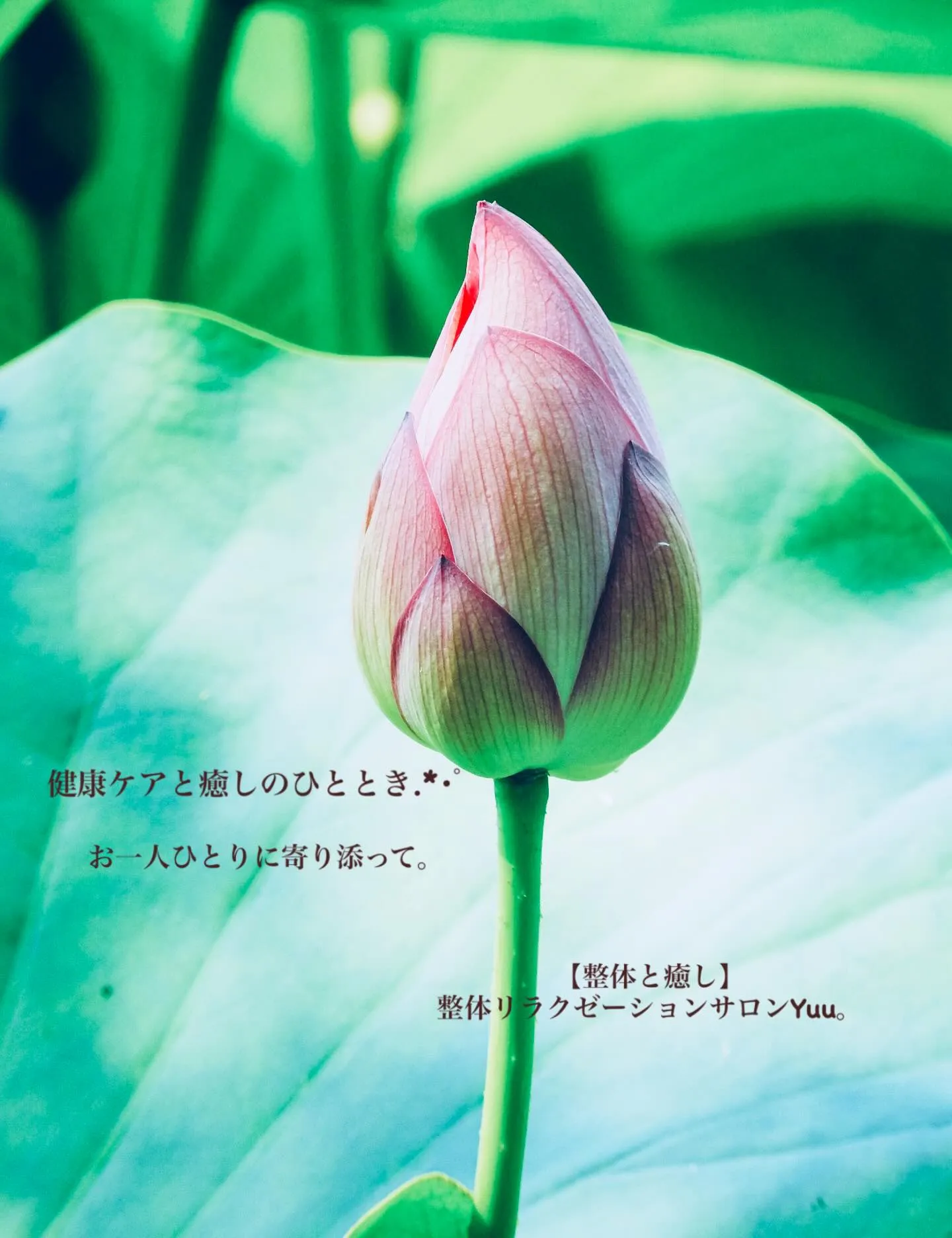 和歌山県岩出市整体リラクゼーションサロンYuu。