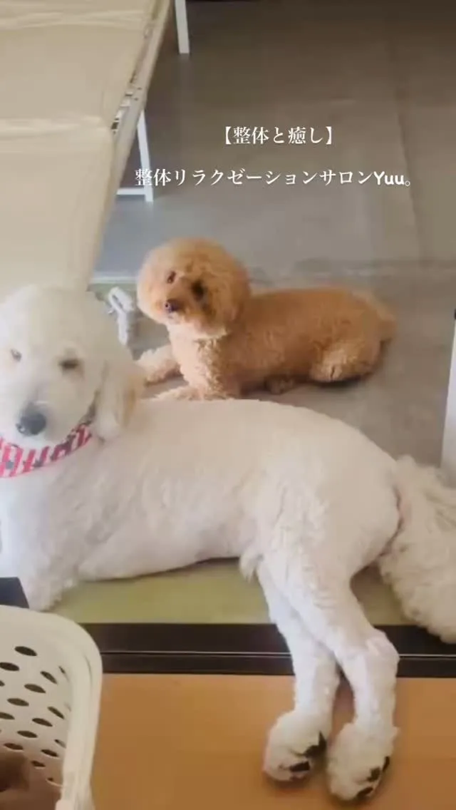 和歌山県岩出市整体リラクゼーションサロンYuu。