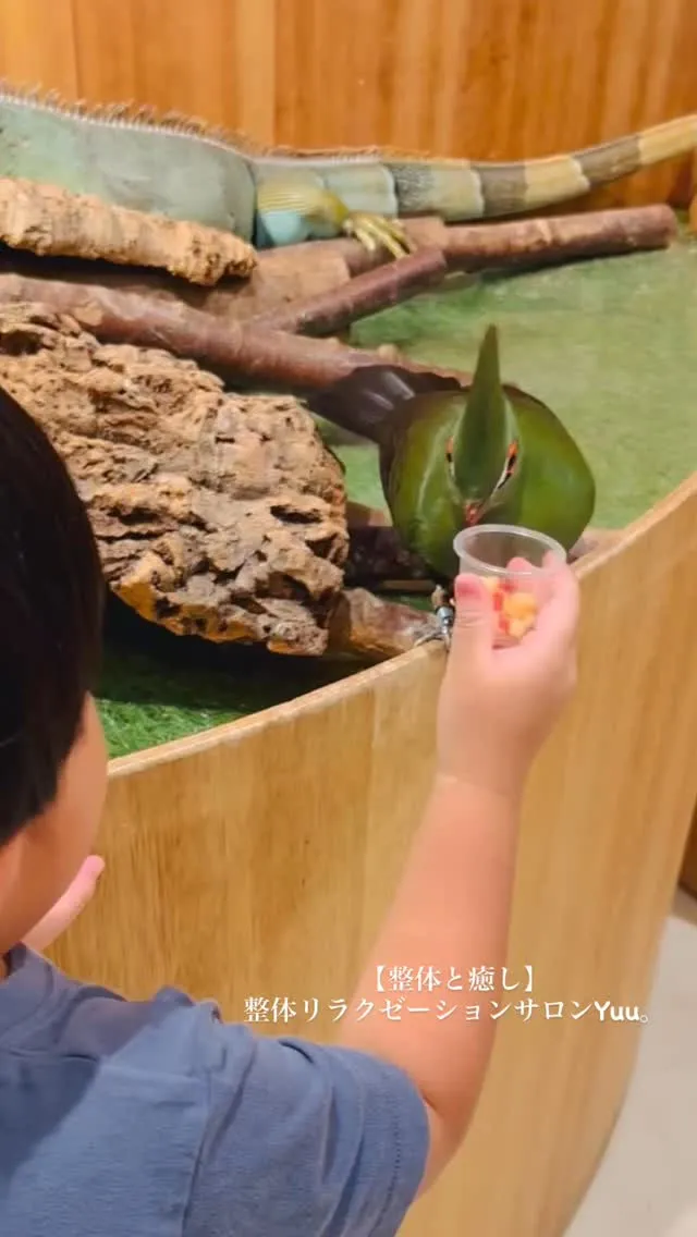 和歌山県岩出市整体リラクゼーションサロンYuu。