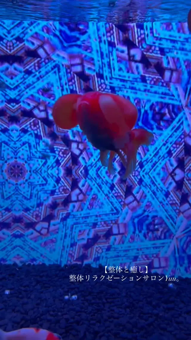 和歌山県岩出市整体リラクゼーションサロンYuu。