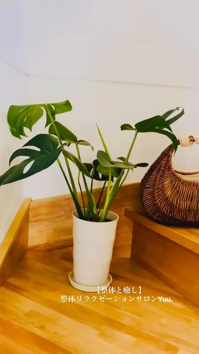 和歌山県岩出市整体リラクゼーションサロンYuu。