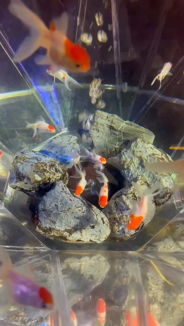 和歌山県岩出市整体リラクゼーションサロンYuu。