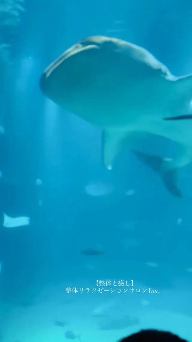 和歌山県岩出市整体リラクゼーションサロンYuu。