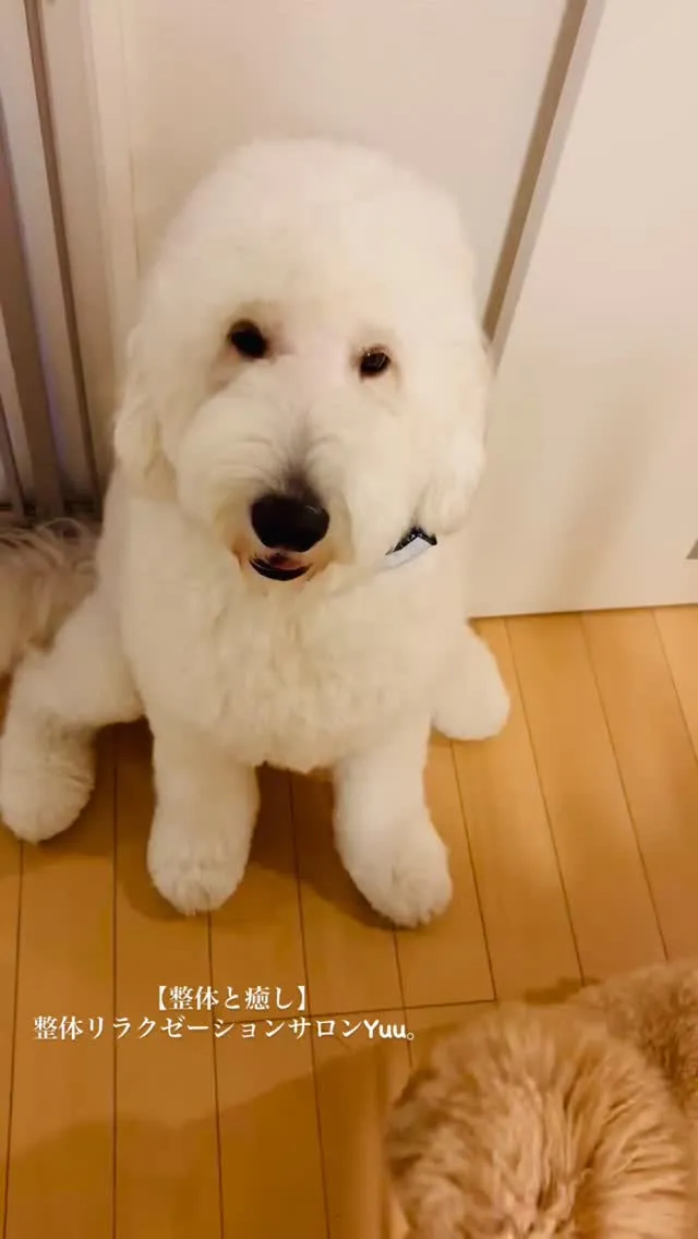 和歌山県岩出市整体リラクゼーションサロンYuu。