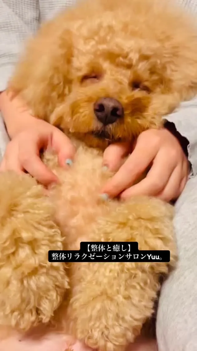 和歌山県岩出市整体リラクゼーションサロンYuu。