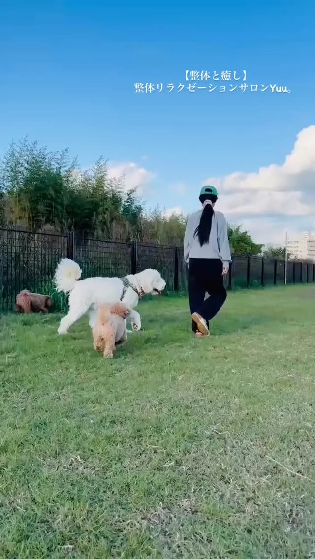 和歌山県岩出市整体リラクゼーションサロンYuu。