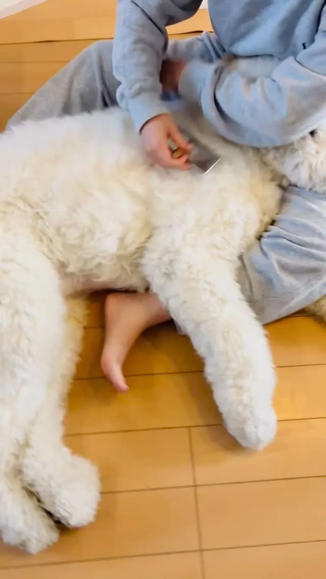 和歌山県岩出市整体リラクゼーションサロンYuu。