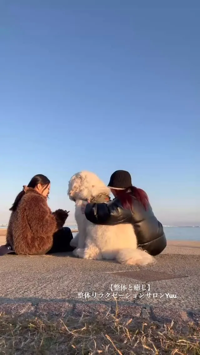 和歌山県岩出市整体リラクゼーションサロンYuu。
